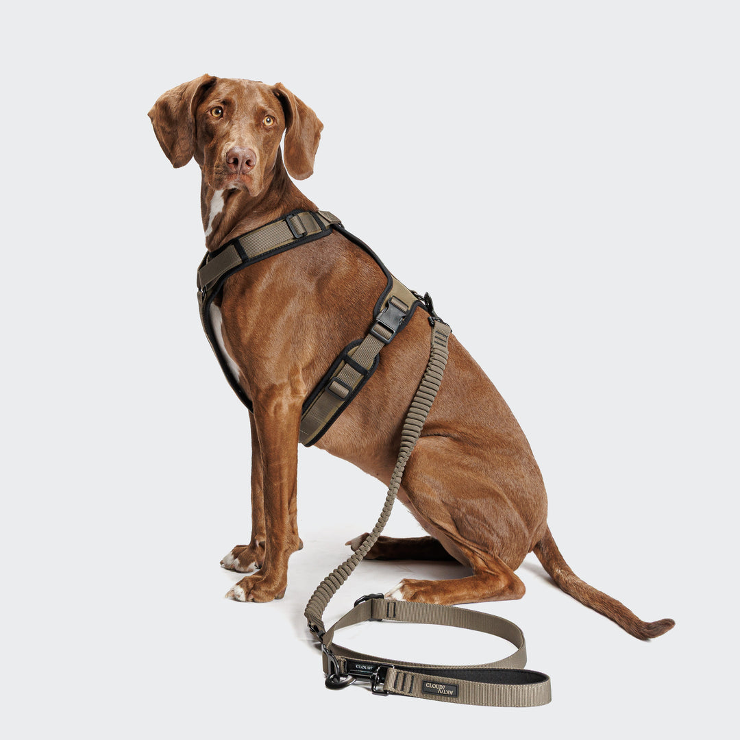 L-2 AKTIV JOGGING LEASH - 01 OLIVE