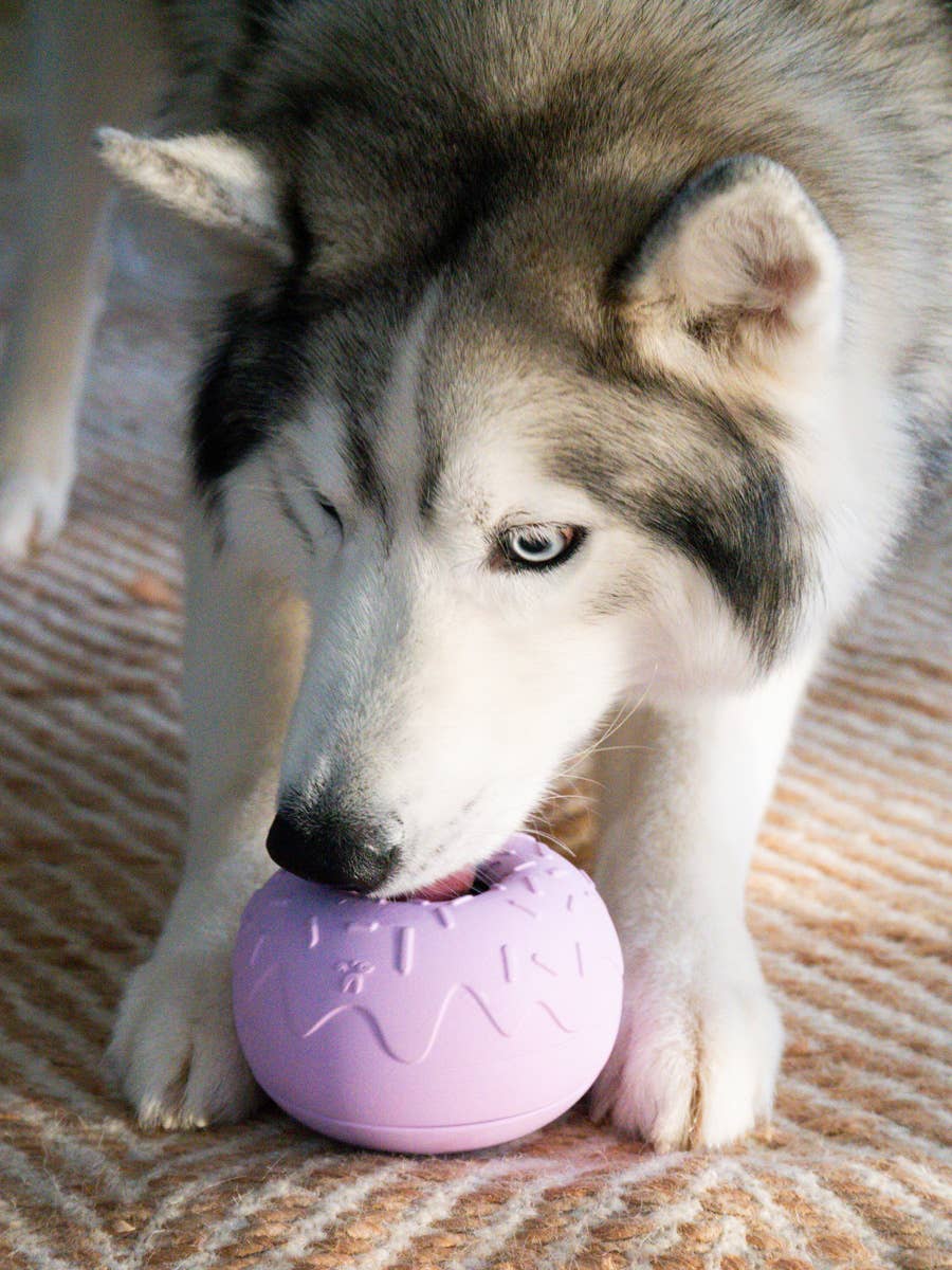 Beschäftigungsspielzeug für Hunde - Yoomy Donut - Lavendel - WOOF DELI