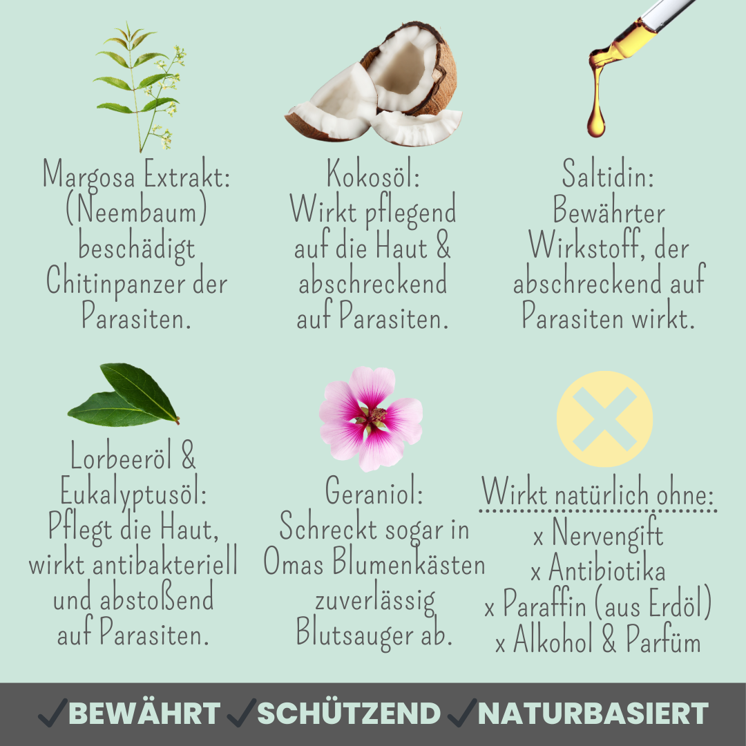 Zpray für Hunde gegen Zecken, Flöhe, Milben & Mücken - WOOF DELI