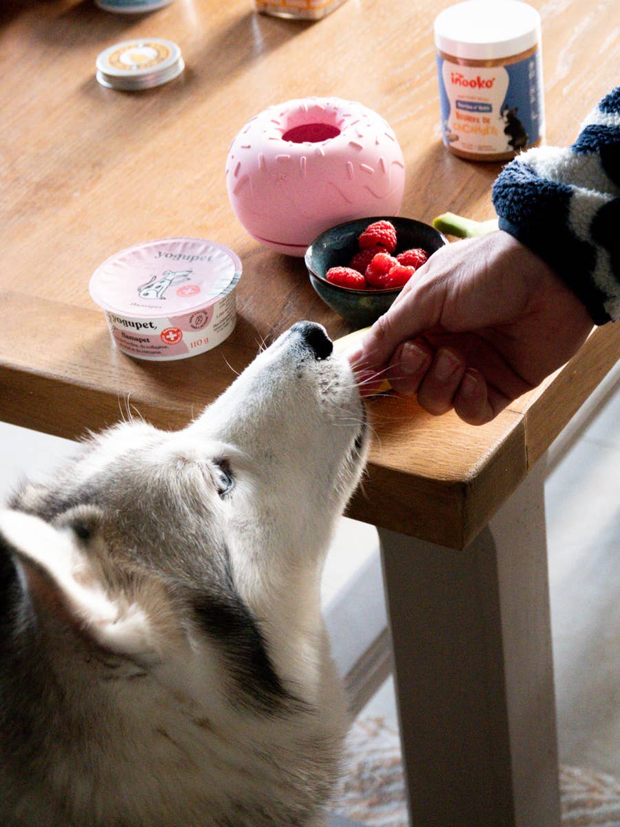 Beschäftigungsspielzeug für Hunde - Yoomy Donut - Rosa - WOOF DELI