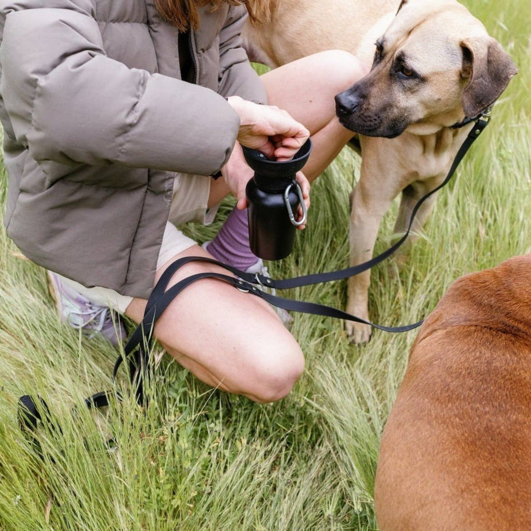 Reisetrinkflasche für Hunde 590ml Schwarz