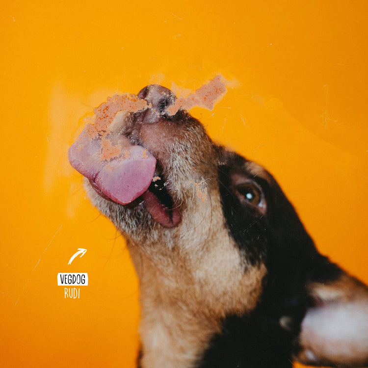 LEVERVURST 75 g - WOOF DELI