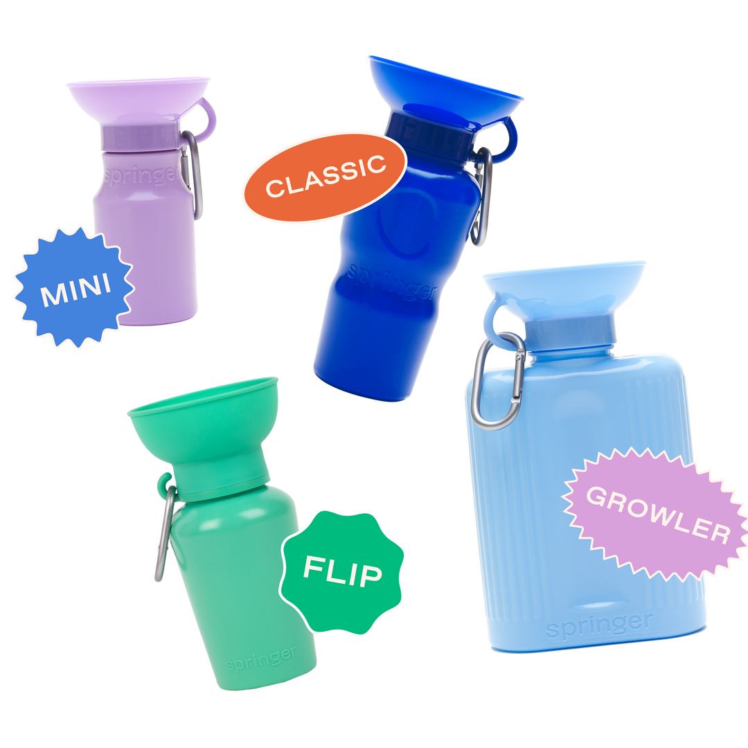 Hundereisewasserflasche, 20oz, Klapp-Silikon (12er Pack)
