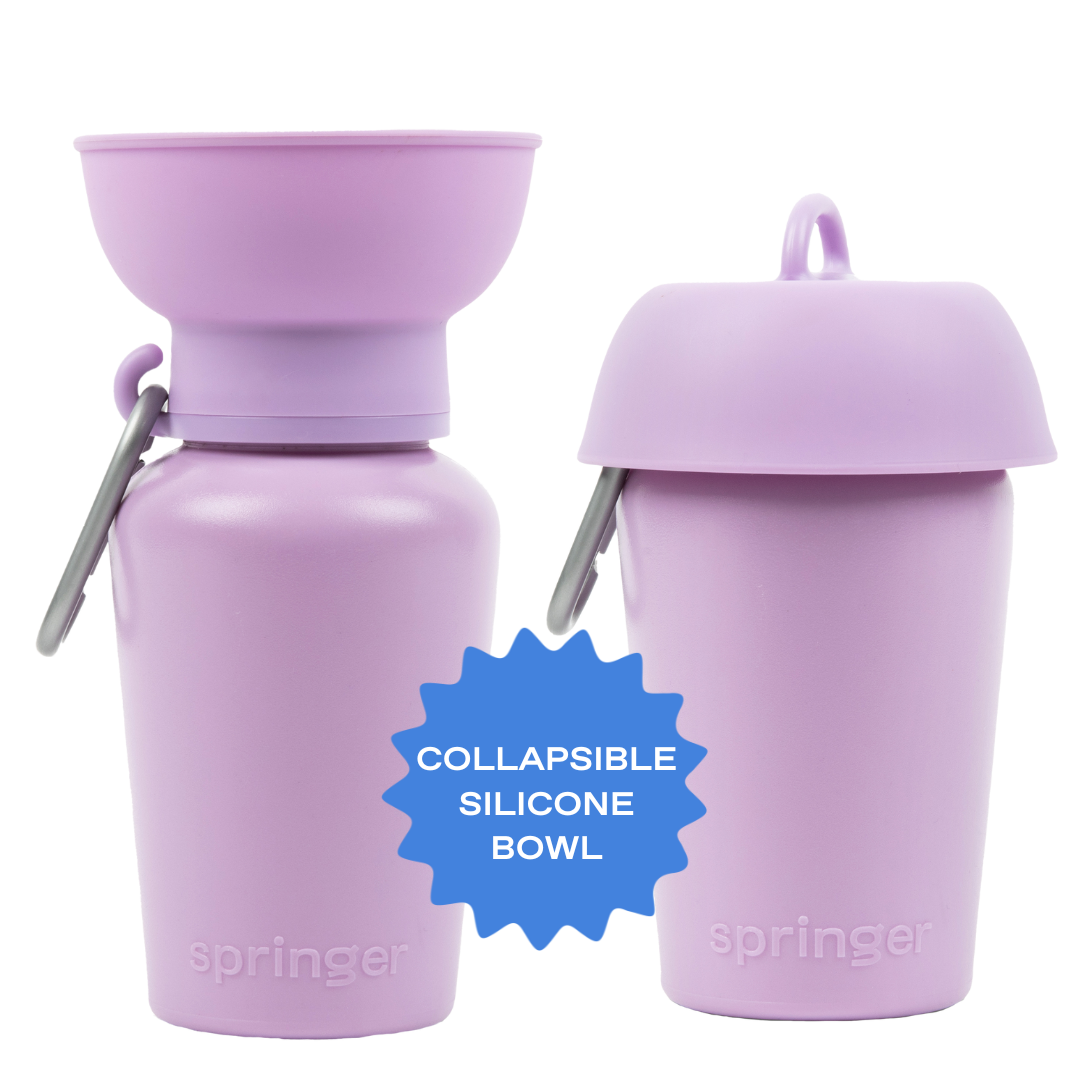 Reisetrinkflasche für Hunde 590ml Lila