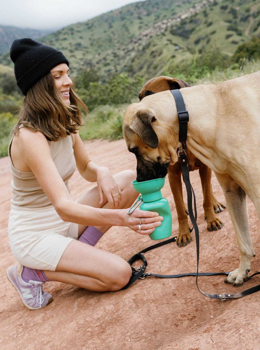 Reisetrinkflasche für Hunde 590ml Grün