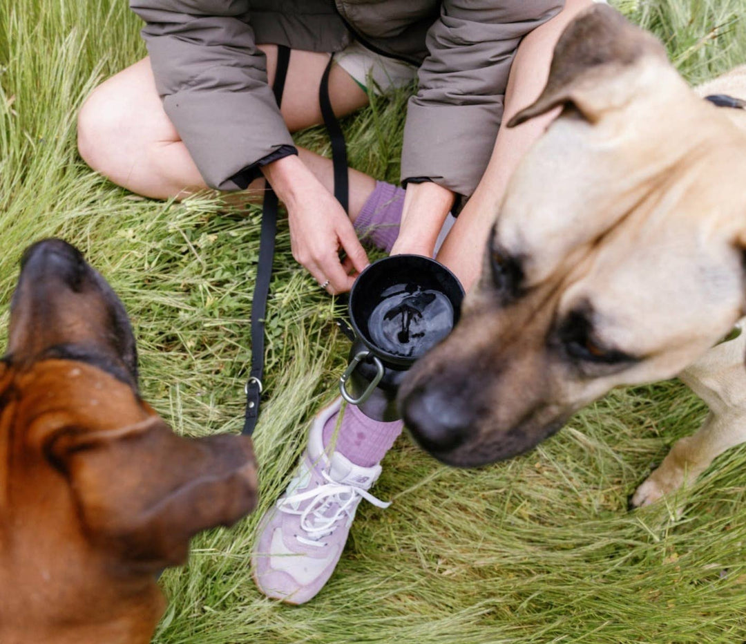 Reisetrinkflasche für Hunde 590ml Schwarz