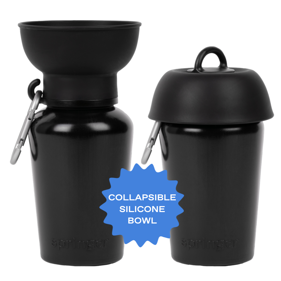 Reisetrinkflasche für Hunde 590ml Schwarz