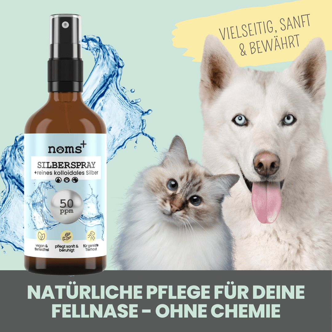 Silberspray für Hunde und Katzen mit 50ppm (100ml)