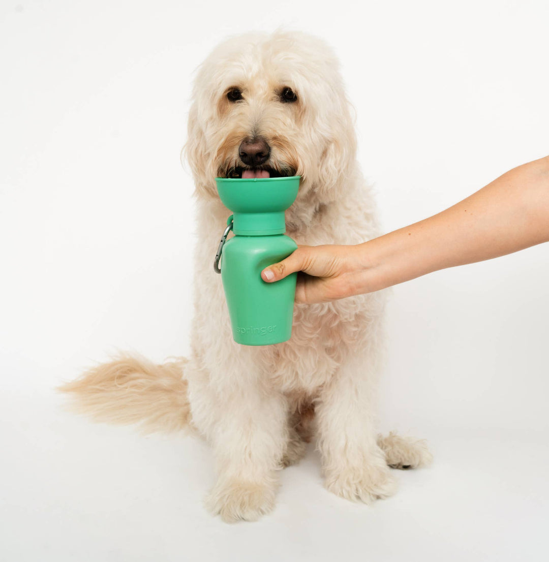 Reisetrinkflasche für Hunde 590ml Grün