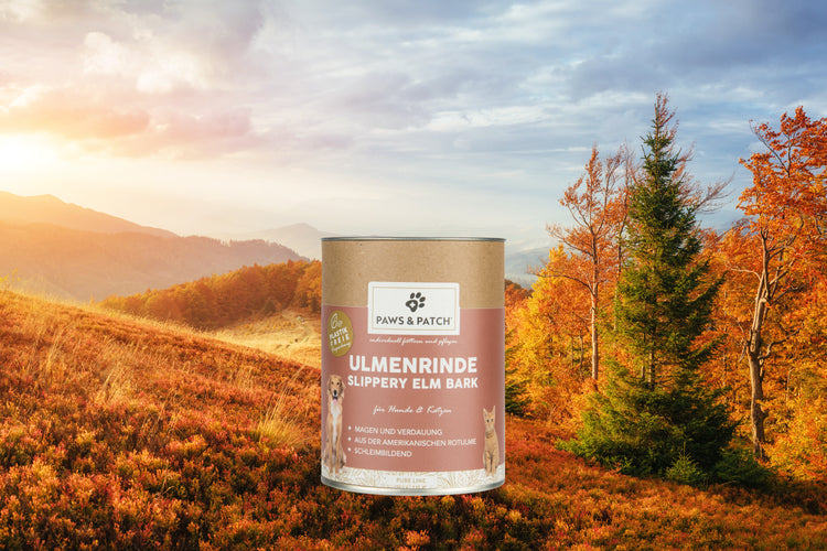 Paws & Patch Ulmenrinde Pulver 100G Für Hunde Und Katzen - WOOF DELI