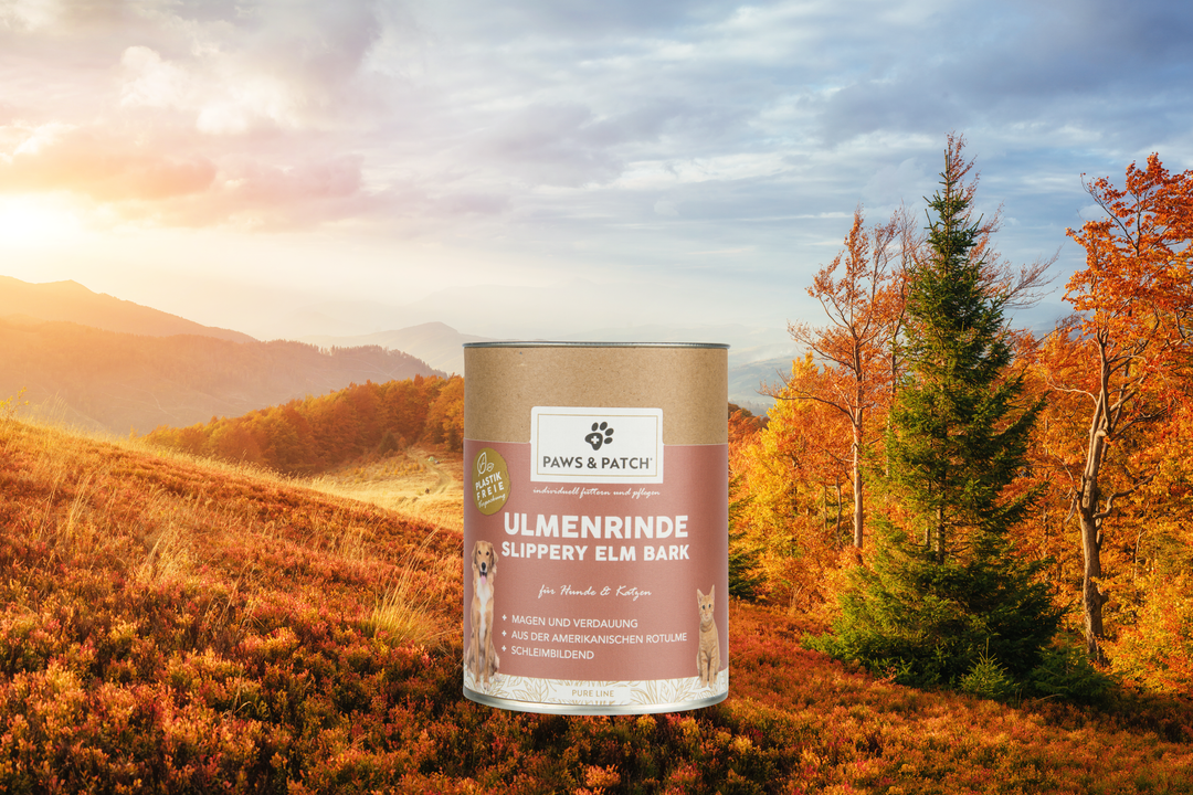 Paws & Patch Ulmenrinde Pulver 100G Für Hunde Und Katzen - WOOF DELI