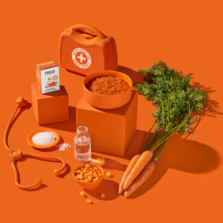 FRED Morosche Karottensuppe - WOOF DELI