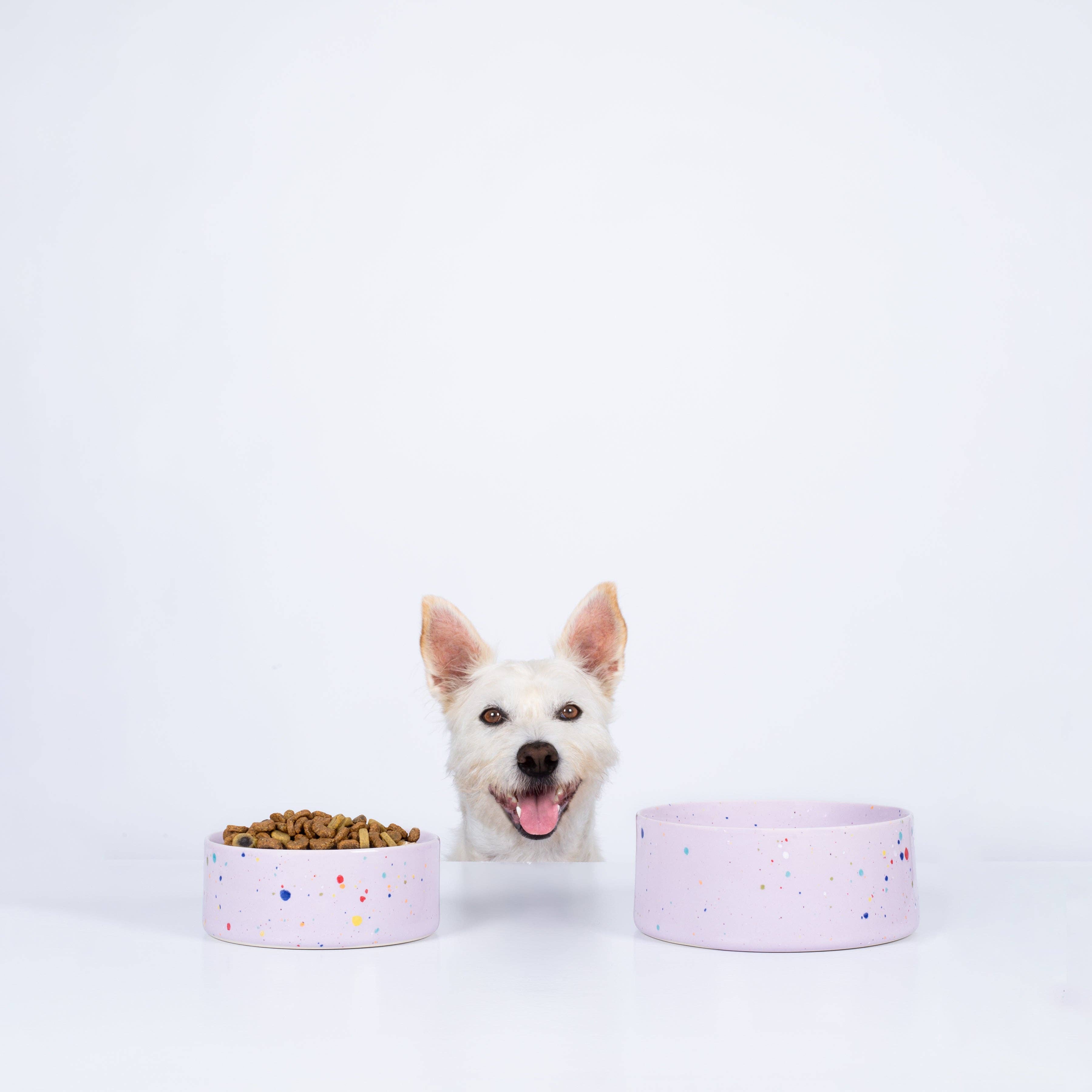 New Party Hundenapf 14 cm, 2er-Set Lilac - WOOF DELI