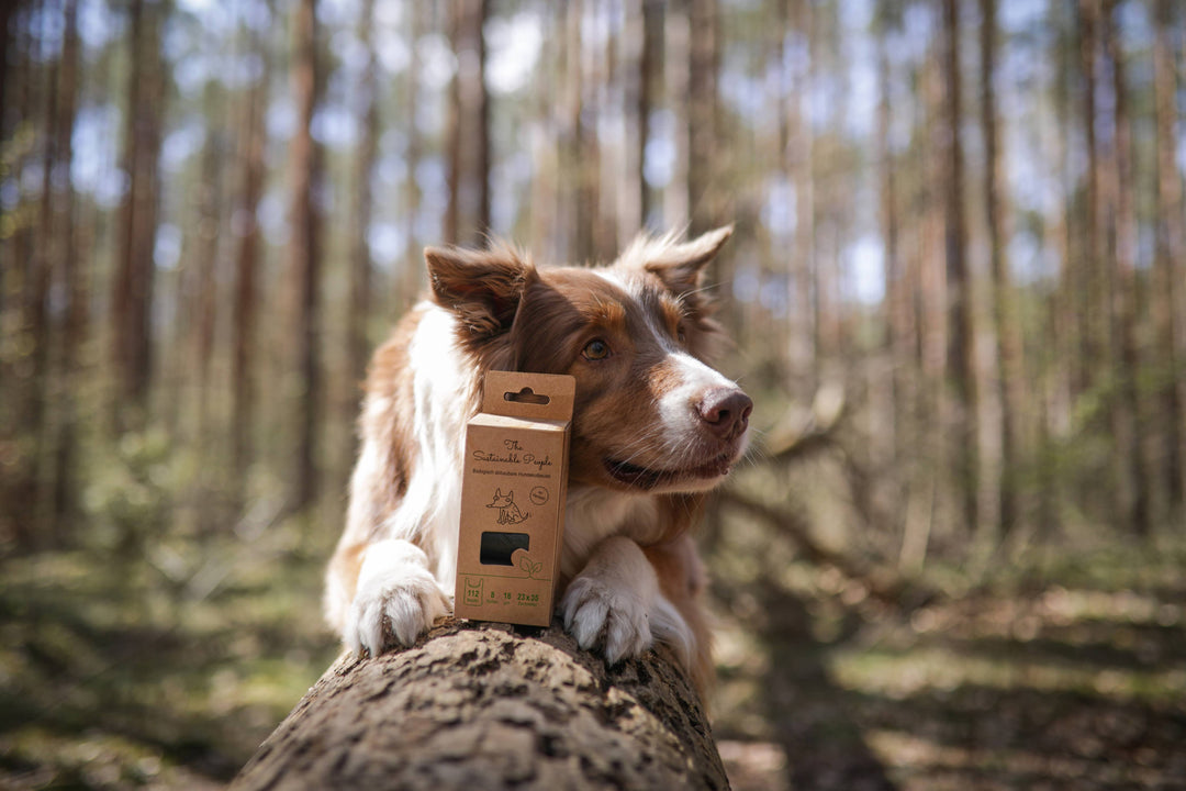 Biologisch abbaubare Hundekotbeutel mit Henkeln (112 Beutel)