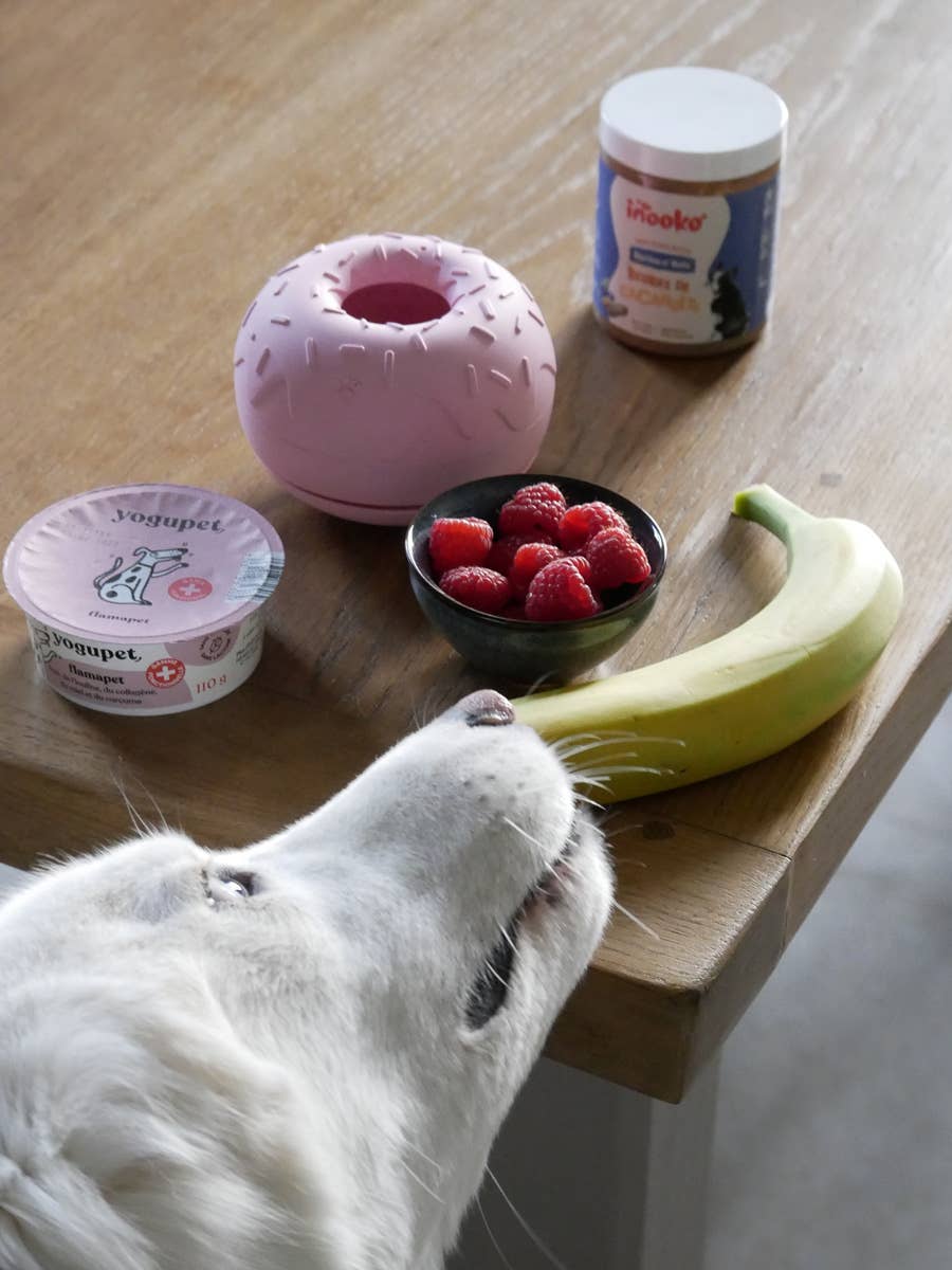 Beschäftigungsspielzeug für Hunde - Yoomy Donut - Rosa - WOOF DELI