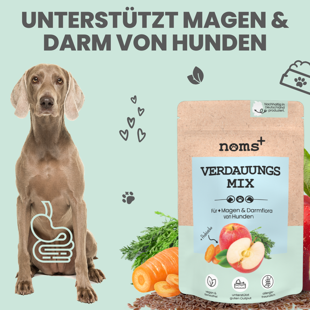 Verdauungsmix für Hunde als Präbiotikum für Magen- & Darmflora - WOOF DELI