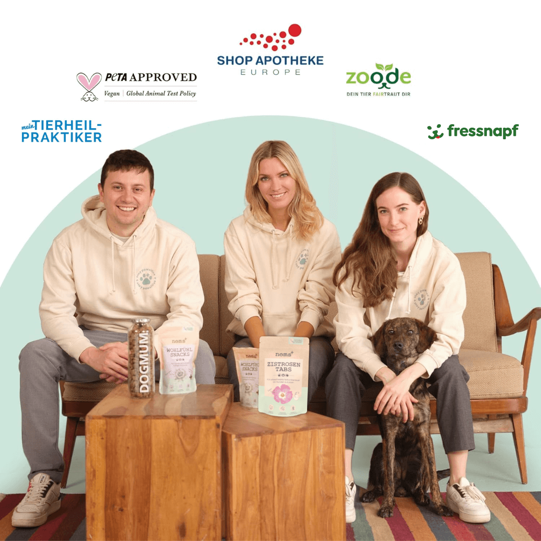 Verdauungsmix für Hunde als Präbiotikum für Magen- & Darmflora - WOOF DELI