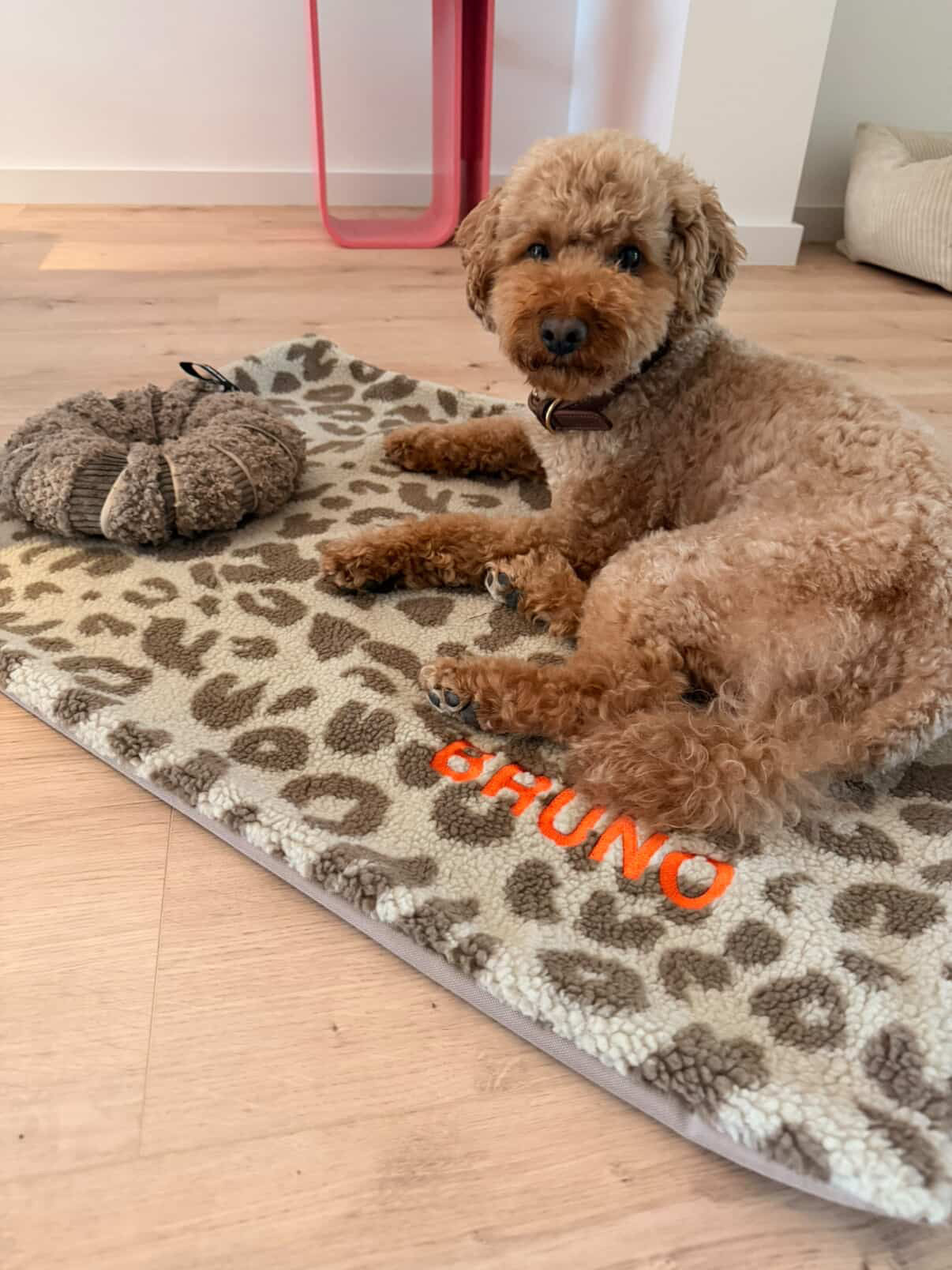OUTDOOR HUNDEDECKE LEO TAUPE - WOOF DELI