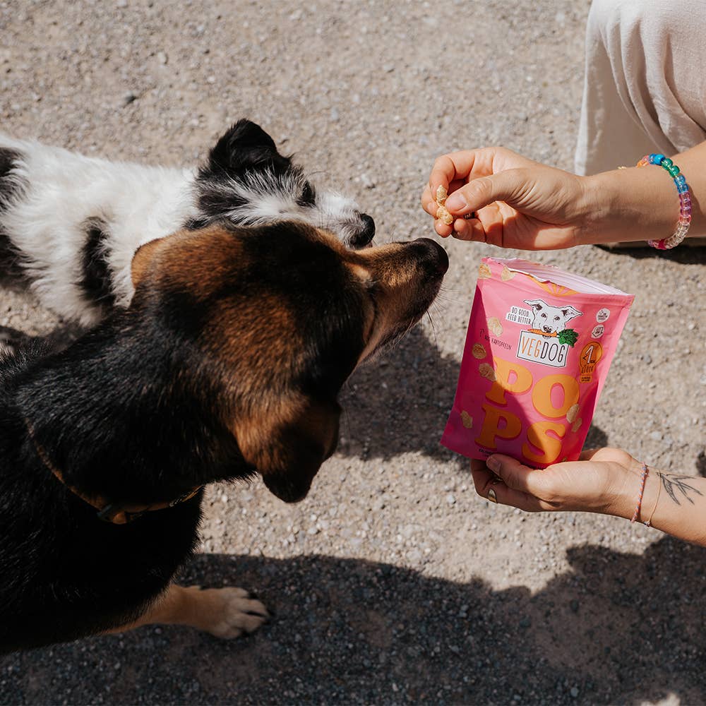 POPS 20 g - WOOF DELI
