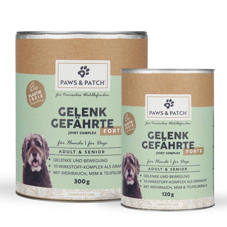 Paws & Patch GELENK GEFÄHRTE FORTE für Hunde Adult & Senior - WOOF DELI