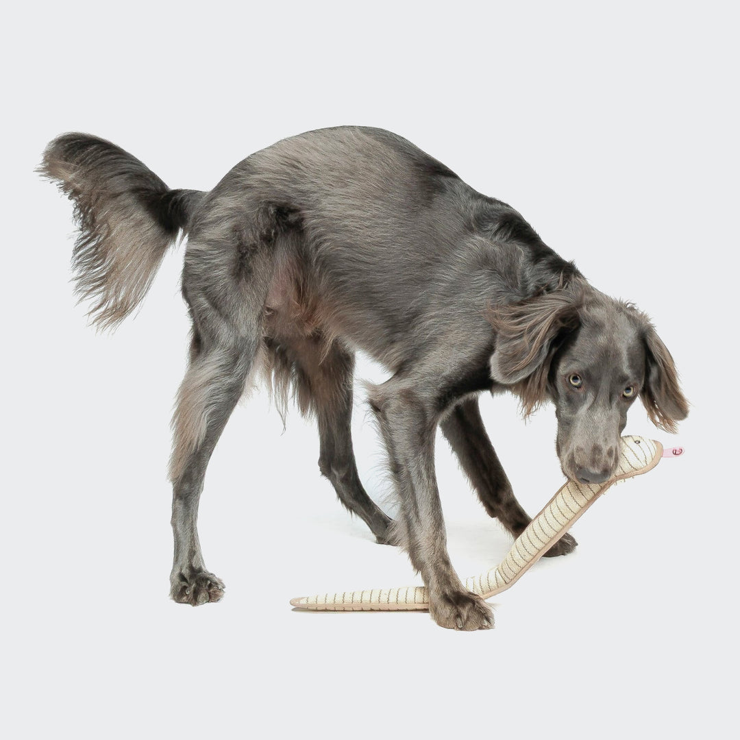 Hundespielzeug Schlange Smilla