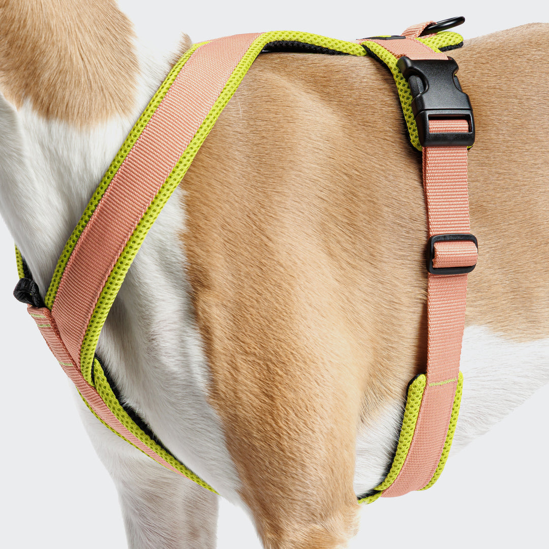Y-1 AKTIV AIR MESH GESCHIRR - 02 PEACH/ NEON GREEN