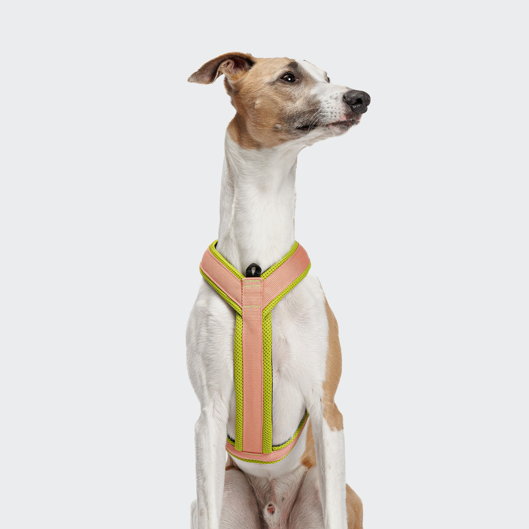 Y-1 AKTIV AIR MESH GESCHIRR - 02 PEACH/ NEON GREEN