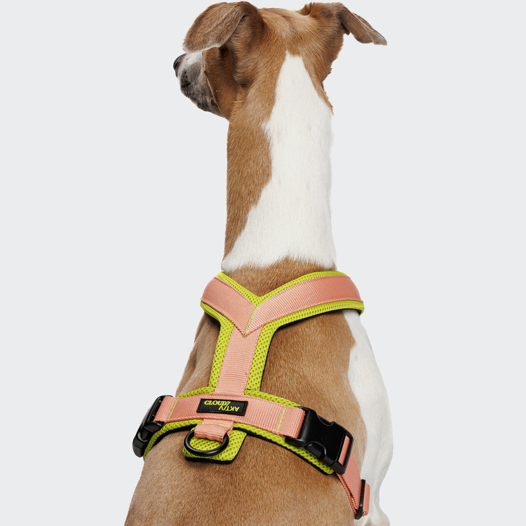 Y-1 AKTIV AIR MESH GESCHIRR - 02 PEACH/ NEON GREEN