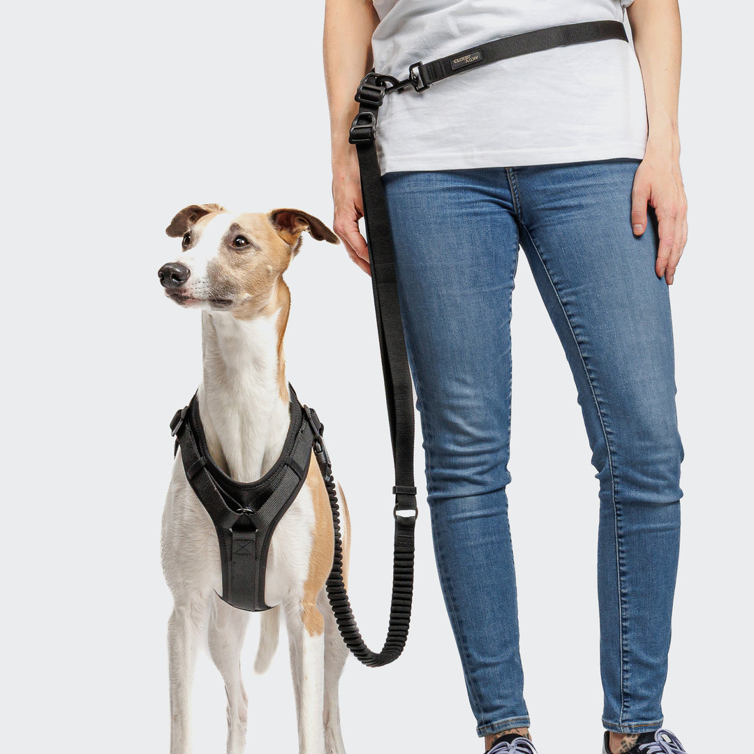 L-2 AKTIV JOGGING LEASH - 02 BLACK