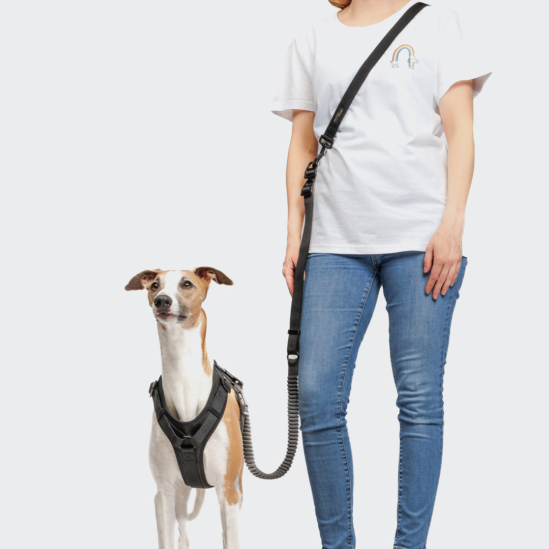 L-2 AKTIV JOGGING LEASH - 02 BLACK