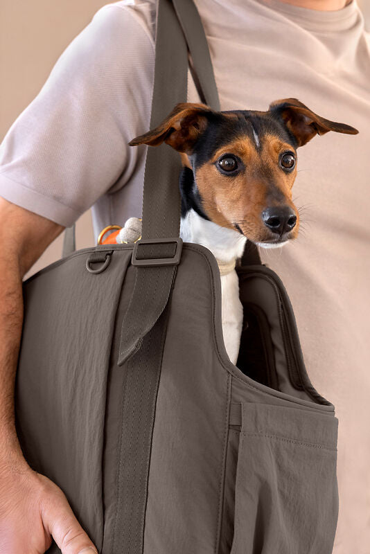 Palopa Hundetasche Weda Crinkled chocolate