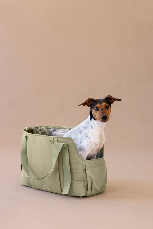 Palopa Hundetasche Weda Crinkled Pale Olive - WOOF DELI