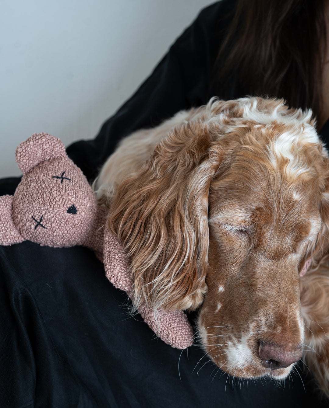 Hundespielzeug BERTY der Bär / dusty Rose