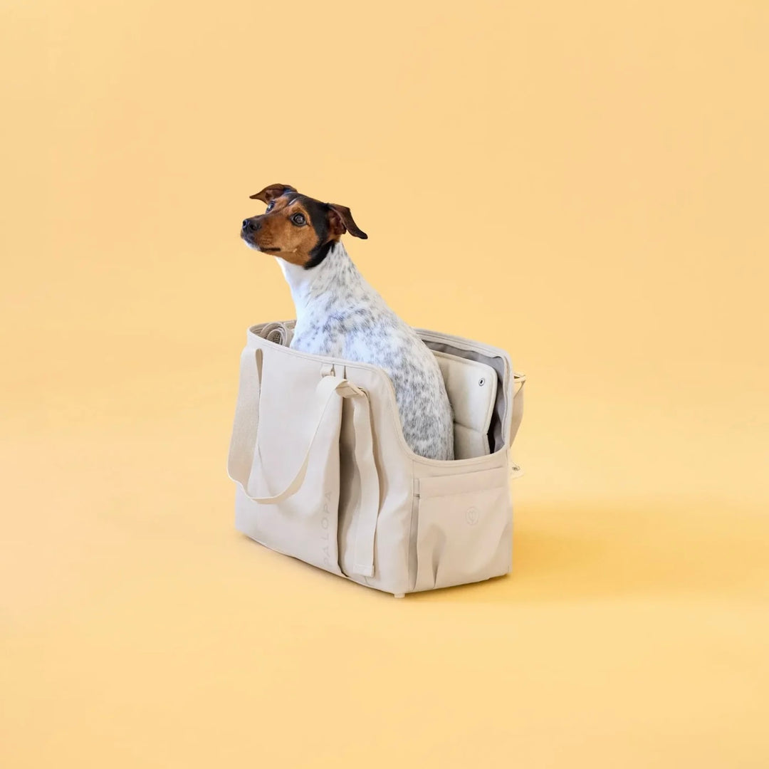 Palopa Hundetasche Weda Creme - WOOF DELI