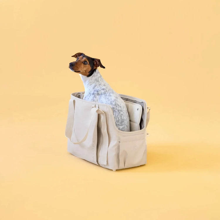 Palopa Hundetasche Weda Creme - WOOF DELI