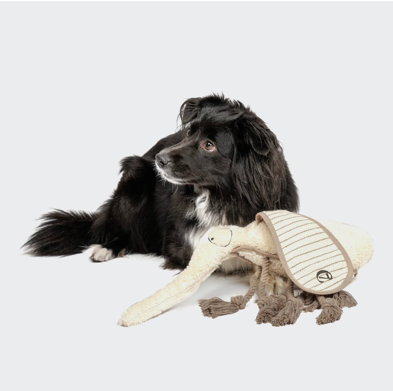 Hundespielzeug Mosquito Momo - WOOF DELI