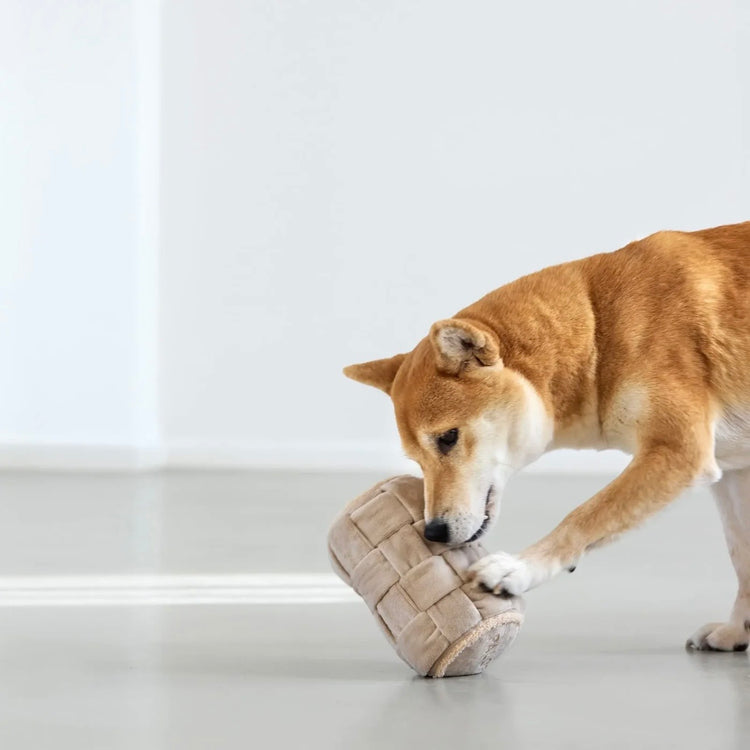 Schnüffelspielzeug für Hunde - Kalpi, Beige - WOOF DELI