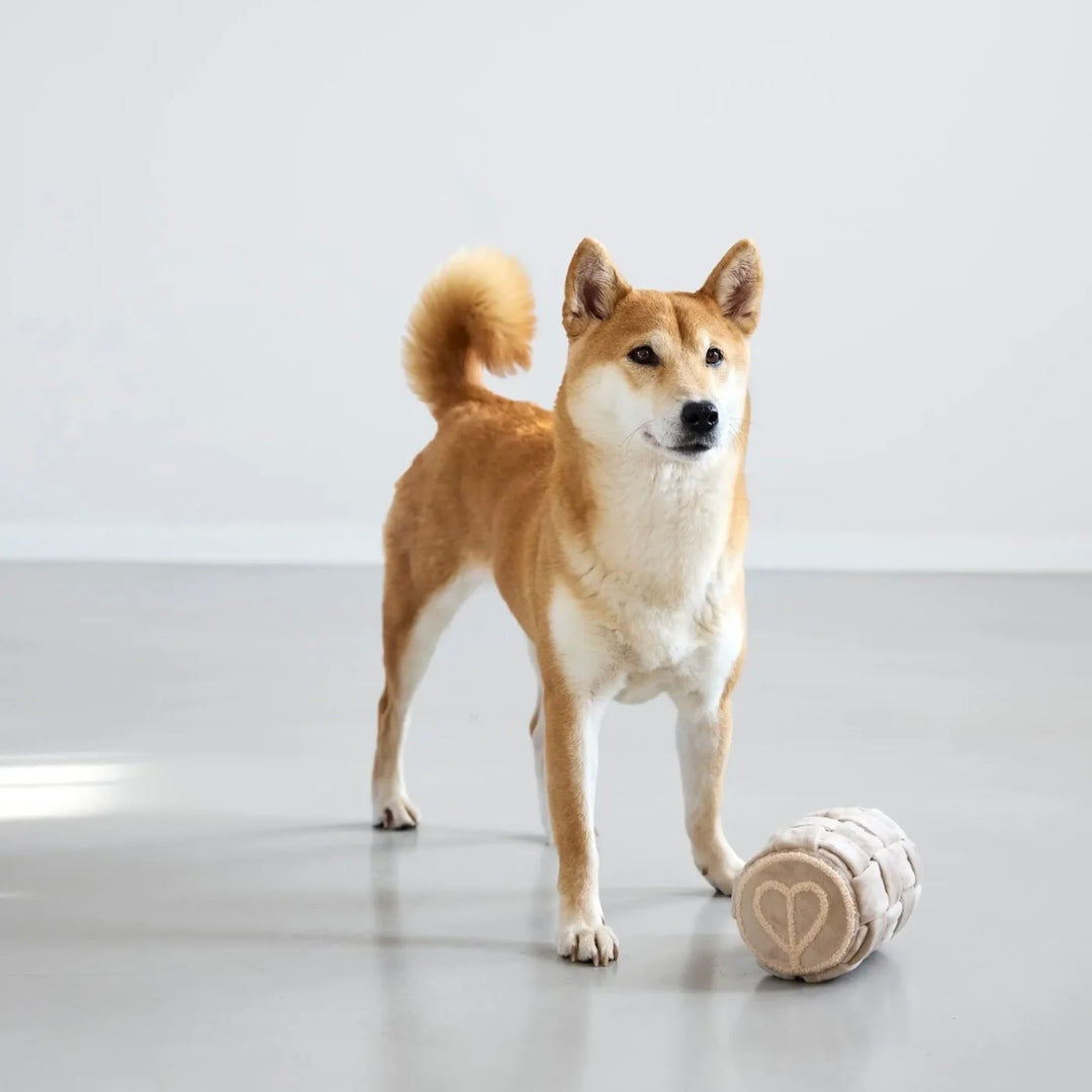 Schnüffelspielzeug für Hunde - Kalpi, Beige - WOOF DELI