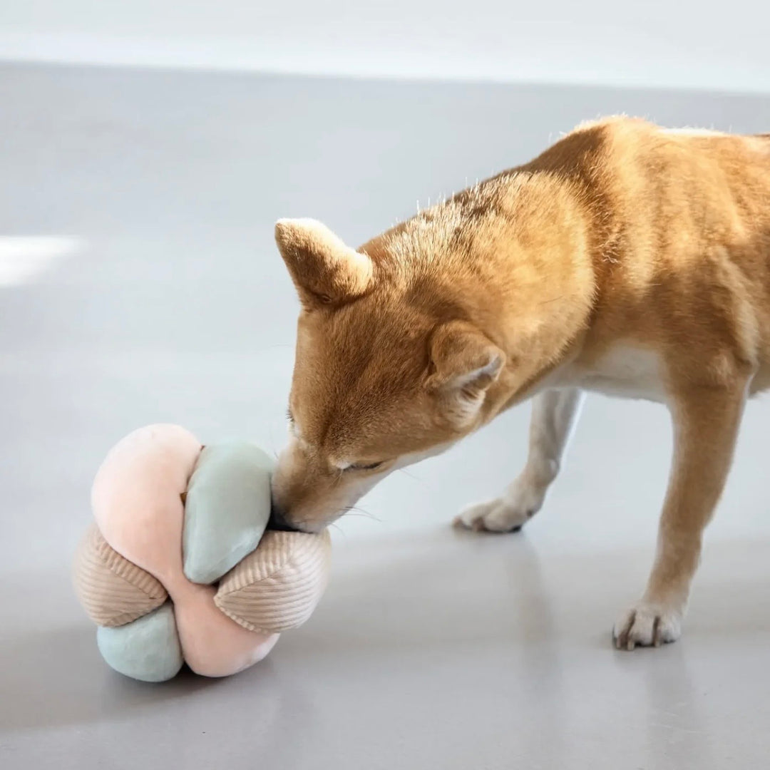 Schnüffelspielzeug für Hunde - Brino, Rosa - WOOF DELI