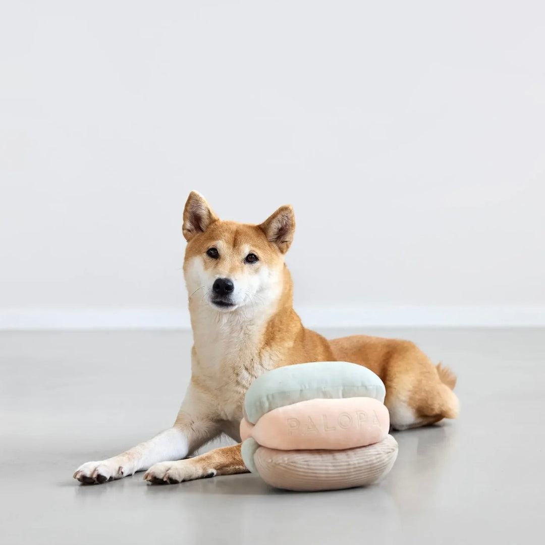 Schnüffelspielzeug für Hunde - Brino, Rosa - WOOF DELI