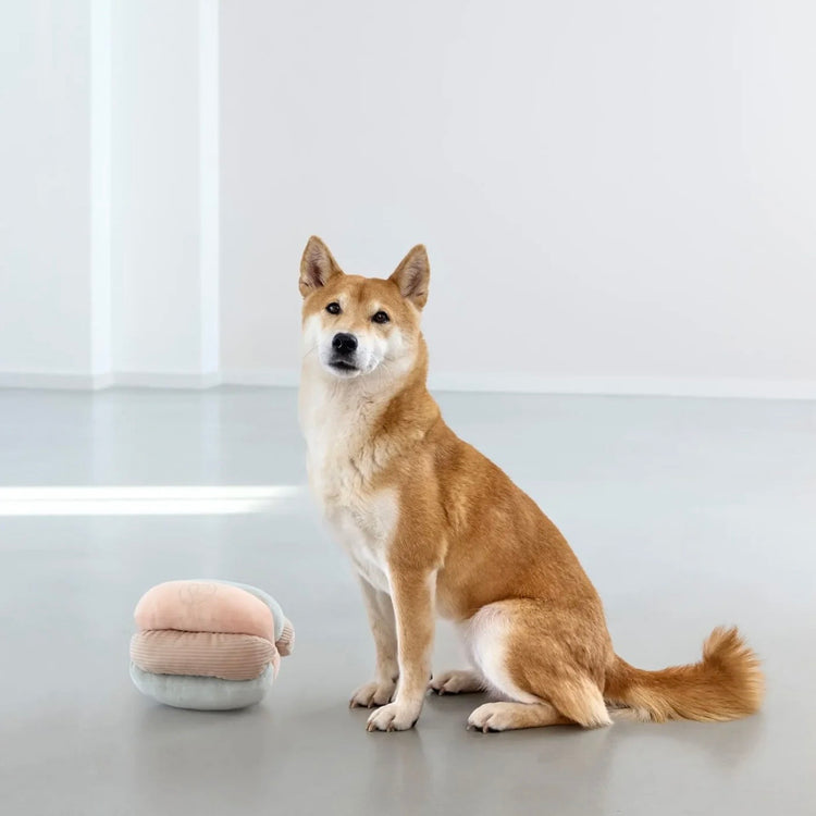 Schnüffelspielzeug für Hunde - Brino, Rosa - WOOF DELI