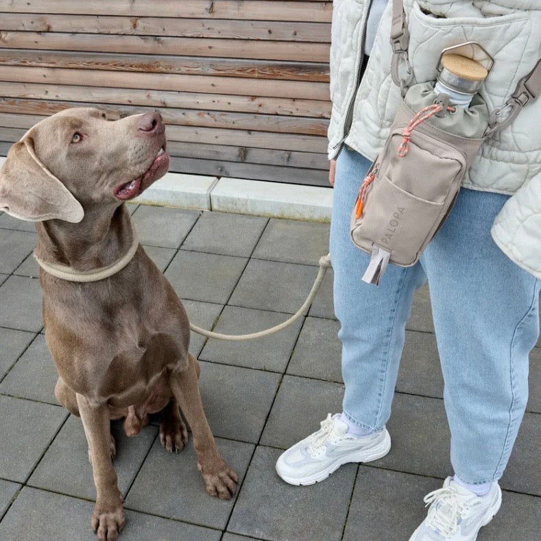 Bottle Snack Bag Boudi Taupe - WOOF DELI