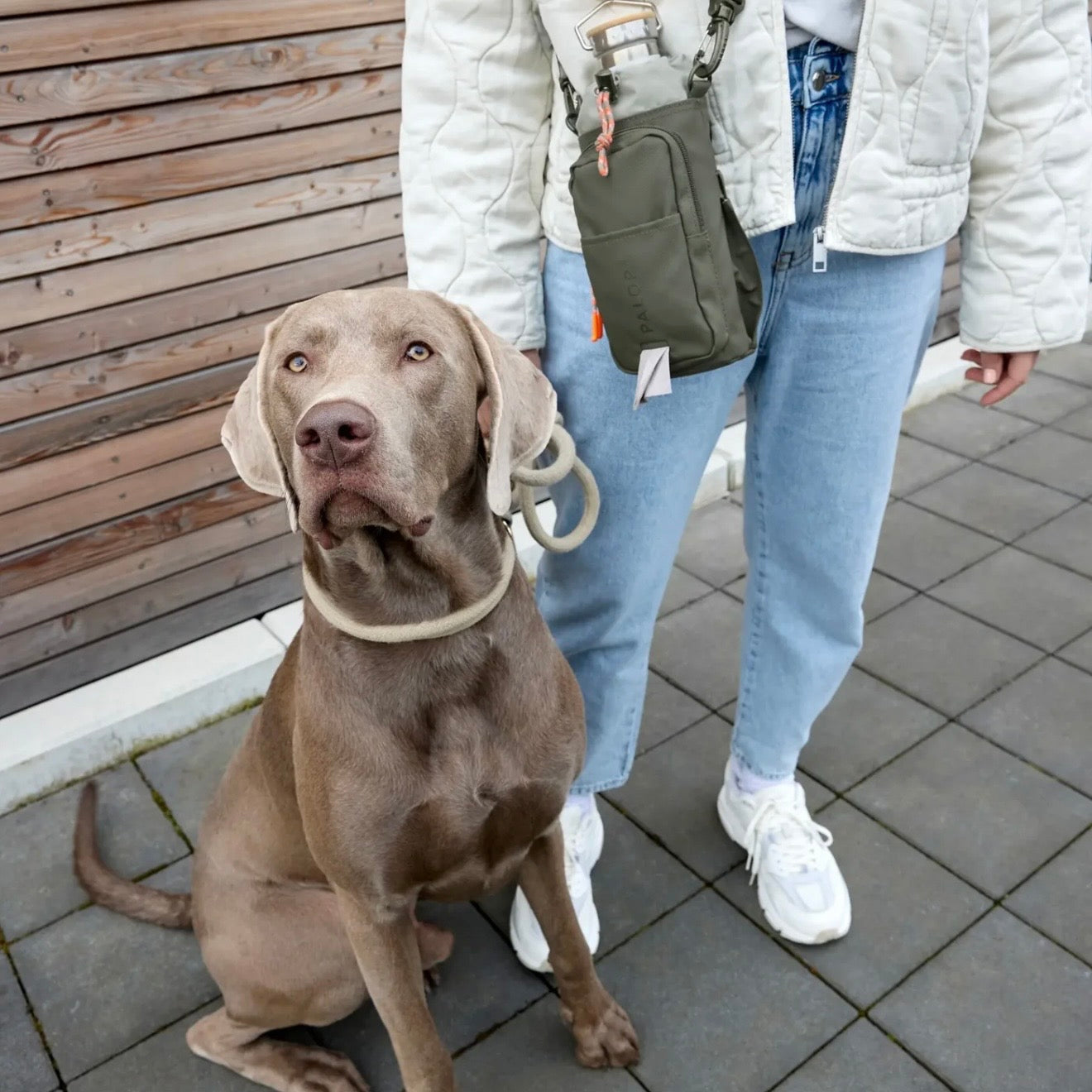 Bottle Snack Bag Boudi Dunkelgrün - WOOF DELI
