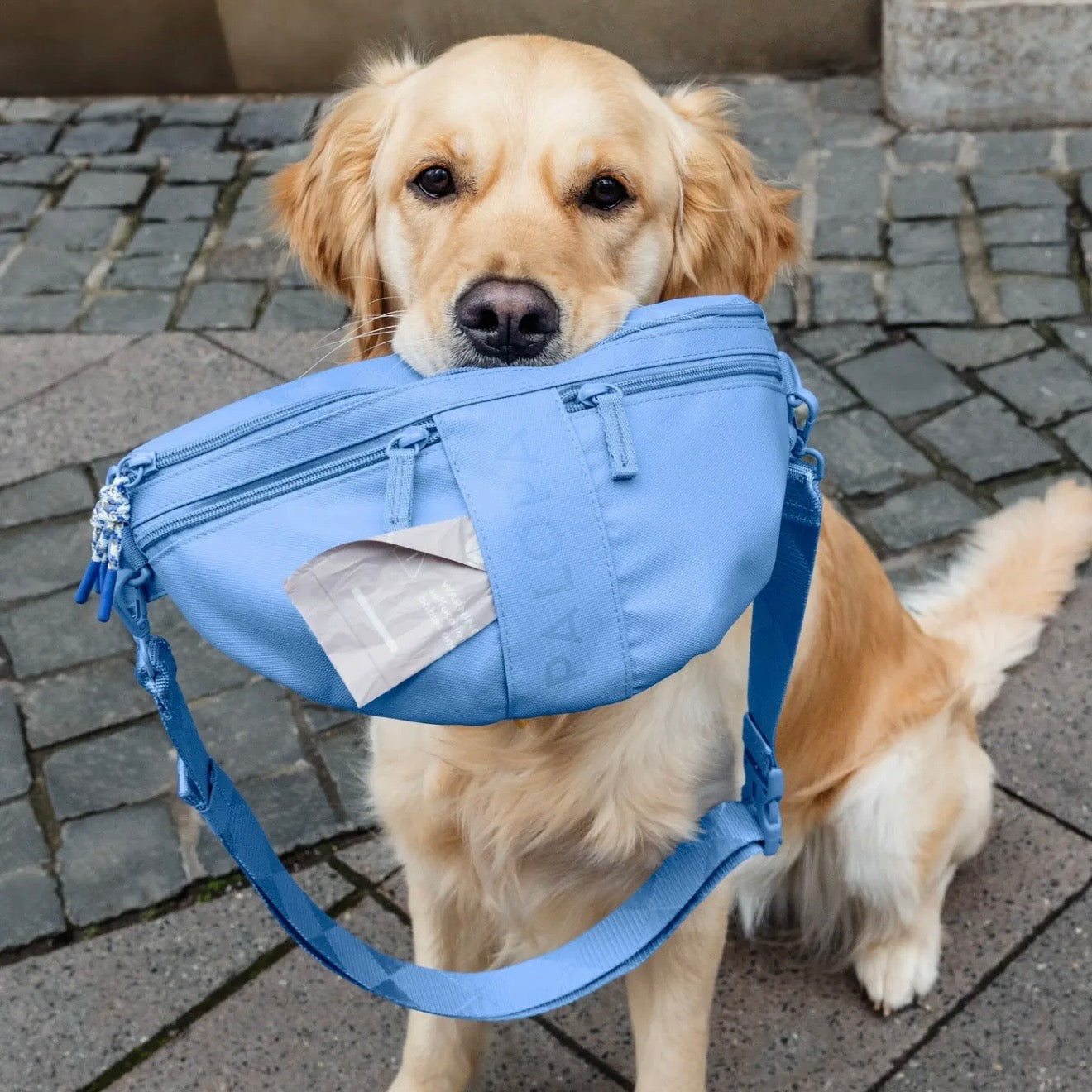 Palopa Leckerlibeutel-Emma Himmelblau - WOOF DELI