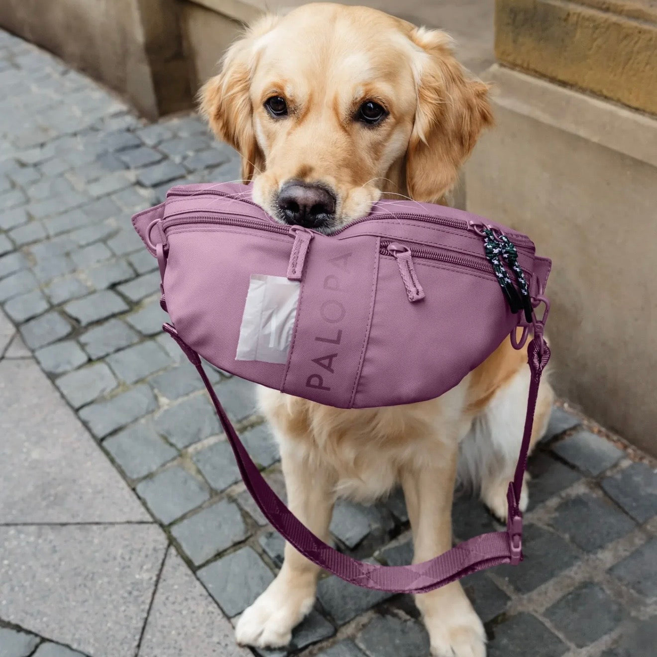 Palopa Leckerlibeutel-Emma Berry - WOOF DELI