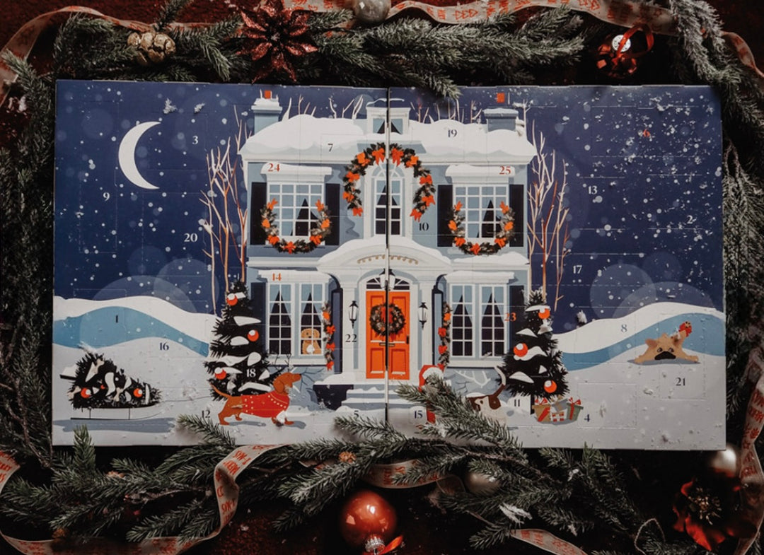 Premium Adventskalender für Hunde zum Aufklappen
