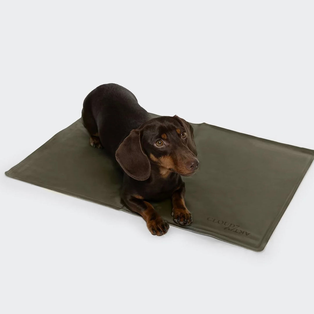 Hundekühlmatte