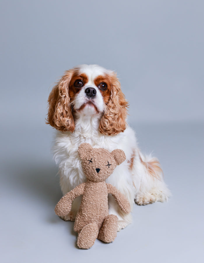 Hundespielzeug BERTY der Bär / Caramel
