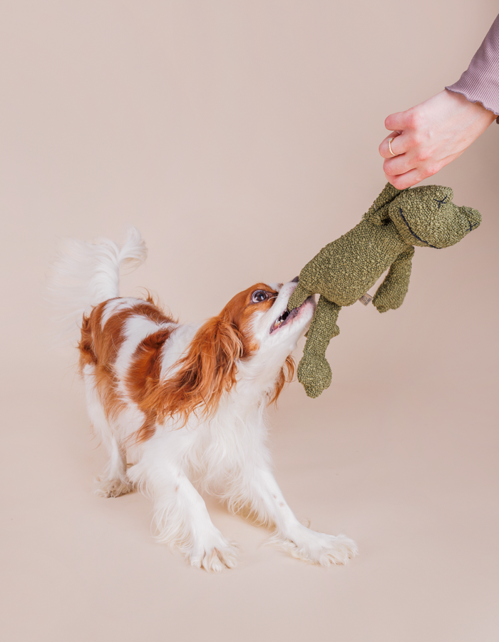 Hundespielzeug GRETA der Frosch