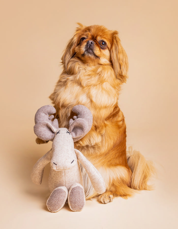 Hundespielzeug MARLEY das Rentier